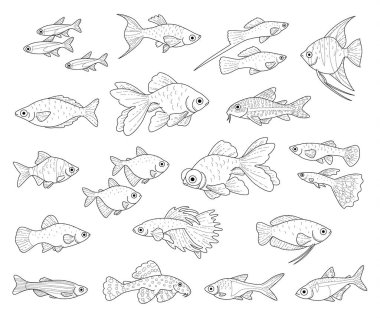 Popüler Akvaryum/süs balıkları beyaz arka plan üzerinde izole. Tek renkli siyah illüstrasyonlar boyama seti