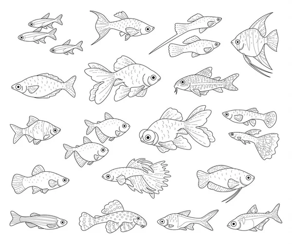 Popular Aquarium Fishes Isolated White Background Set Monochrome Black Illustrations — Stock Vector