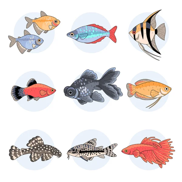 Peces Acuario Populares Parte Conjunto Ilustraciones Coloridas Aisladas Sobre Fondo — Vector de stock