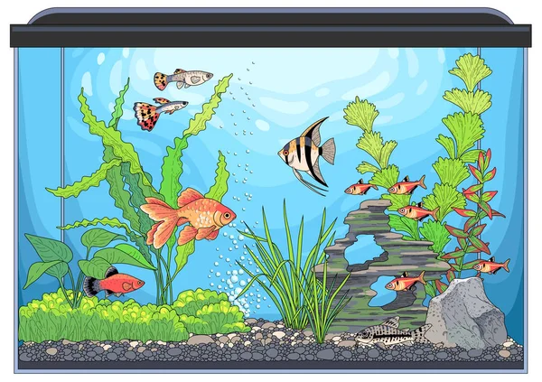 Paesaggio Subacqueo Con Piante Verdi Pesci Colori Illustrazione Vettoriale Acquario — Vettoriale Stock