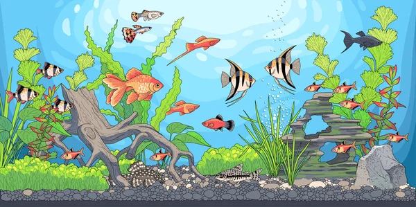 how to draw a fish tank | Fish tank drawing, Fish drawings, Tank drawing-saigonsouth.com.vn