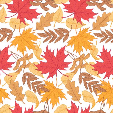 Çok renkli sonbahar Dikişsiz desen beyaz zemin üzerine bırakır. Desen Tekstil, tasarım ve decoratio için