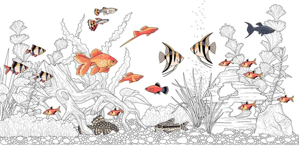 Acuario Rectangular Horizontal Con Plantas Accesorios Peces Colores Ilustración Monocromática — Vector de stock