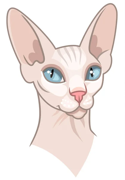 Retrato Gato Esfinge Lindo Personaje Dibujos Animados Aislado Fondo Blanco — Archivo Imágenes Vectoriales