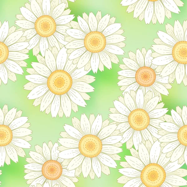 Patrón Floral Sin Costuras Con Manzanillas Blancas Sobre Fondo Verde — Vector de stock
