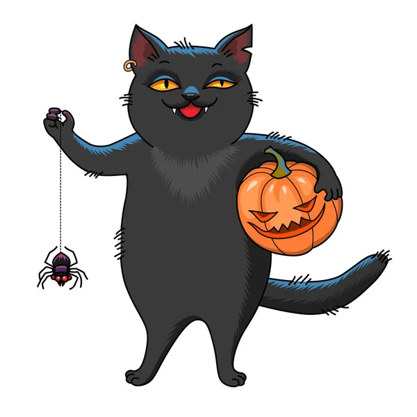 黑猫拿着南瓜和蜘蛛 动画片字符为万圣节查出在白色背景 — 图库矢量图片