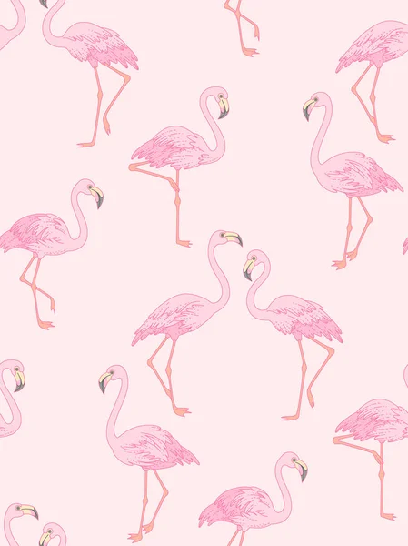 Flamingo auf rosa — Stockvektor