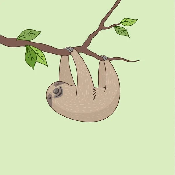 Ленивец на дереве Векторная Графика