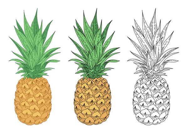 Ananas Rechtenvrije Stockvectors