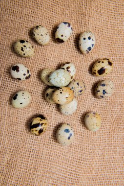 Yiyecek: samanlıkta izole edilmiş bıldırcın yumurtası grubu