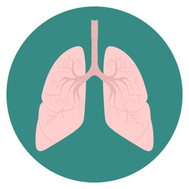 Akciğerli insan tıbbi ikonu, vektör düz çizim, semboller, ağ.