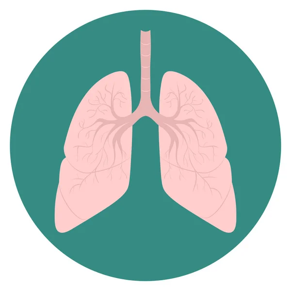 Icono Médico Humano Con Pulmones Ilustración Plana Vectorial Conjunto Símbolos — Archivo Imágenes Vectoriales
