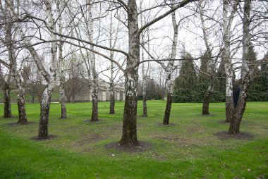 Ağaçlar ve parktaki eski taş ev