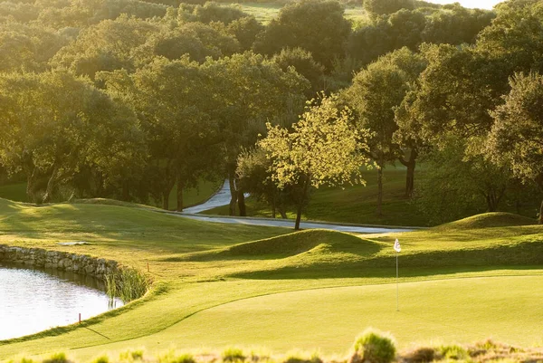 Golfpályák Berendezések Golfpálya — Stock Fotó