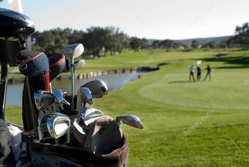 Golf courts. Equipments and golf course