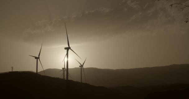 Windmühlen Auf Teneriffa Kanarische Inseln — Stockvideo