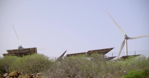 Windmühlen Auf Teneriffa Kanarische Inseln — Stockvideo