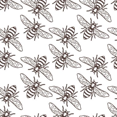 Doğrusal arılı, kusursuz vintage desen. Organik bal geçmişi. Bal paketi tasarımı, etiketi, ambalajı, moda baskısı kavramı.