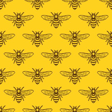 Ana hatlı, kusursuz sarı desenli taşıyıcı arı. Organik bal geçmişi. Bal paketi tasarımı, etiket, ambalaj, moda baskıları için tasarım konsepti.