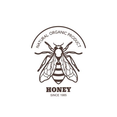 Vector vintage bal etiketi tasarımı. Ana hatlı bal arısı logosu ya da amblemi. Lineer arı beyaz arka planda izole edildi. Organik bal ürünleri ve paket tasarımı kavramı.