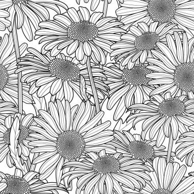 Çiçeksiz vektör deseni. El çizimi papatya çiçekleri olan tek renkli arka plan. Kumaş, tekstil baskısı, ambalaj kağıdı veya web arkaplanı için bahar tasarımı.