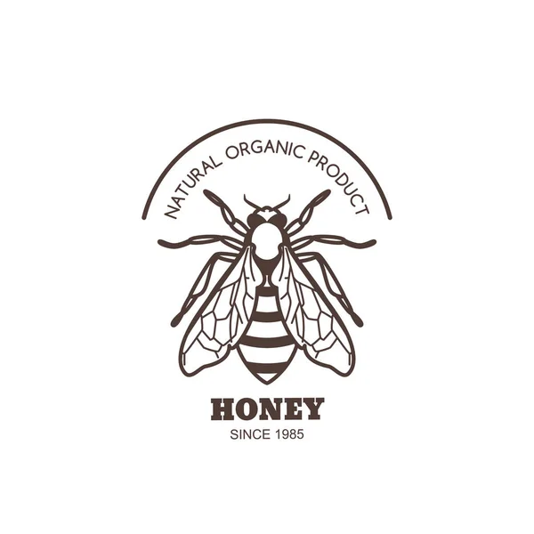 矢量老式蜂蜜标签设计 蜜蜂标志或标志的轮廓 线蜂在白色背景上被隔离 有机蜂蜜产品概念 包装设计 — 图库矢量图片
