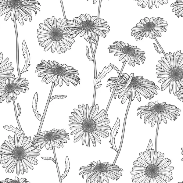 ベクトルフラワーシームレスパターン 手描きのカモミールの花と黒と白の背景 ファブリック テキスタイルプリント 包装紙やウェブの背景のための春のデザイン ベクターグラフィックス