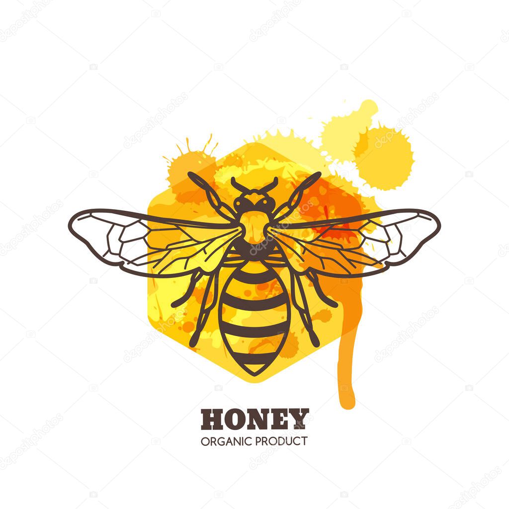 Honey label, emblem, tag design elements. Vector hand drawn outline honeybee on watercolor honeycombs. Bee and liquid honey isolated on white background. Concept for organic farming products package.