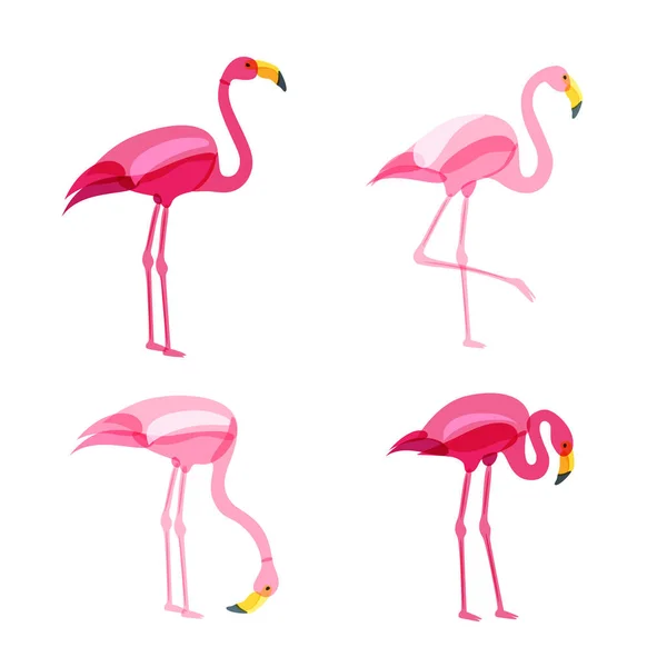 Flamingo Rosa Conjunto Isolado Fundo Branco Vector Mão Desenhado Doodle —  Vetores de Stock