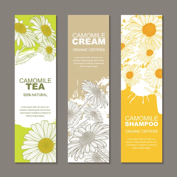 Set Vector Backgrounds Label Package Sketch Hand Drawn Illustration Camomile — Stock Vector