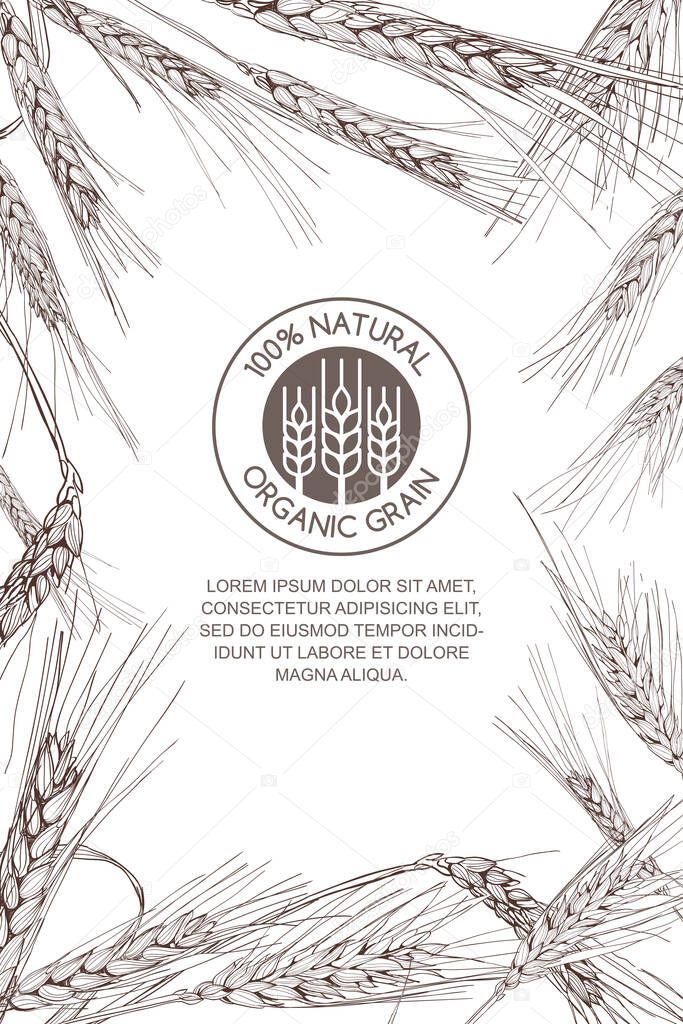 Vector background for label, package. Monochrome sketch illustration of wheat and logo design. Concept for organic flour, harvest and agriculture, grain, cereal products, bakery, healthy food.