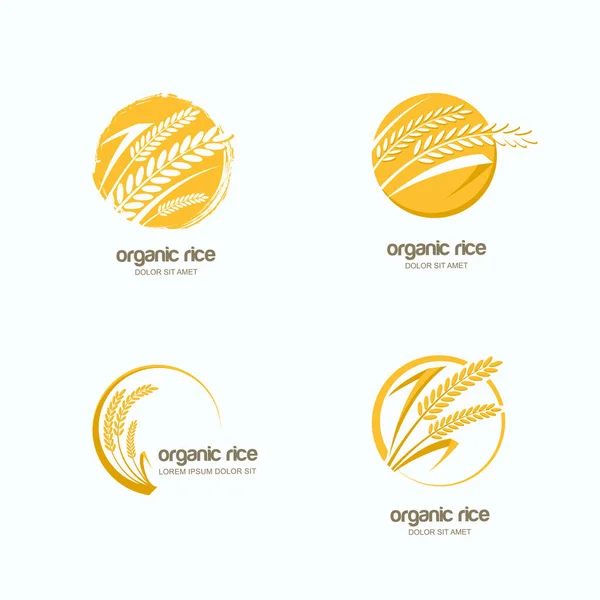 Set Aus Vektorlogo Etikett Oder Verpackungskreisemblem Mit Gelbem Reis Weizen — Stockvektor