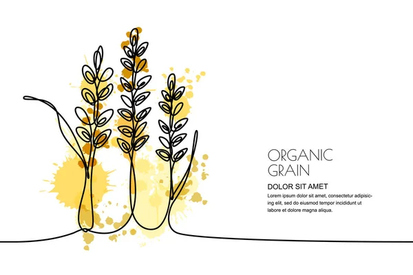 Kontinuierliche Linienzeichnung Vektor Lineare Illustration Von Weizen Reiskörnern Und Körnern — Stockvektor