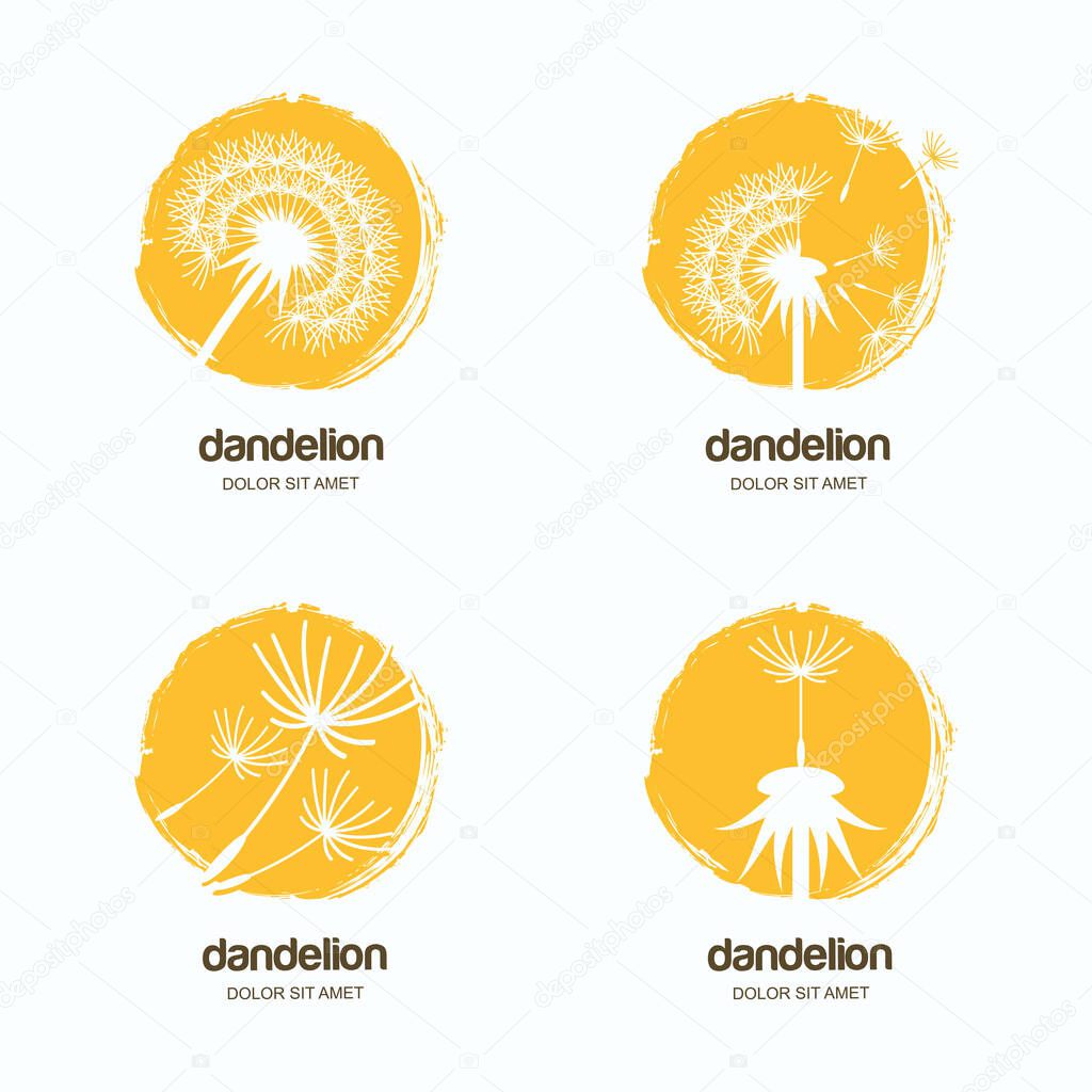 Set of vector logo, icon or emblem with yellow dandelions. Watercolor hand drawn design template for flowers delivery or gift shop.