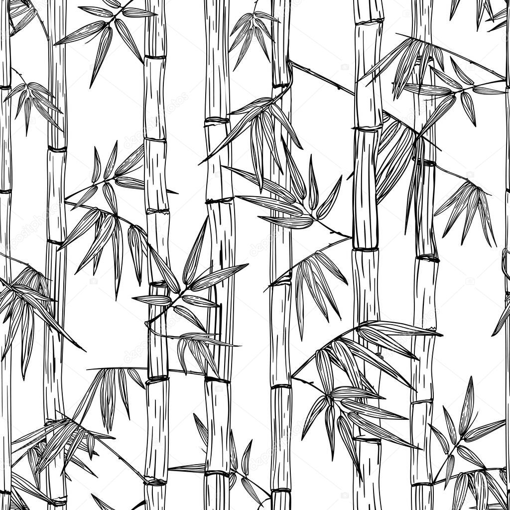 Vector seamless bamboo forest pattern. Black and white hand drawn sketch background. Design for fashion textile print, asian spa and massage, cosmetics package, furniture materials.