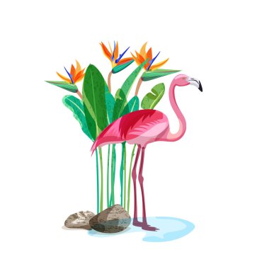 Tropik pembe flamingo kuşu suda durur ve egzotik çiçekler ve arka planda yeşil yapraklar. Beyaz arkaplanda izole edilmiş vektör el çizimi, tasarım ögeleri.