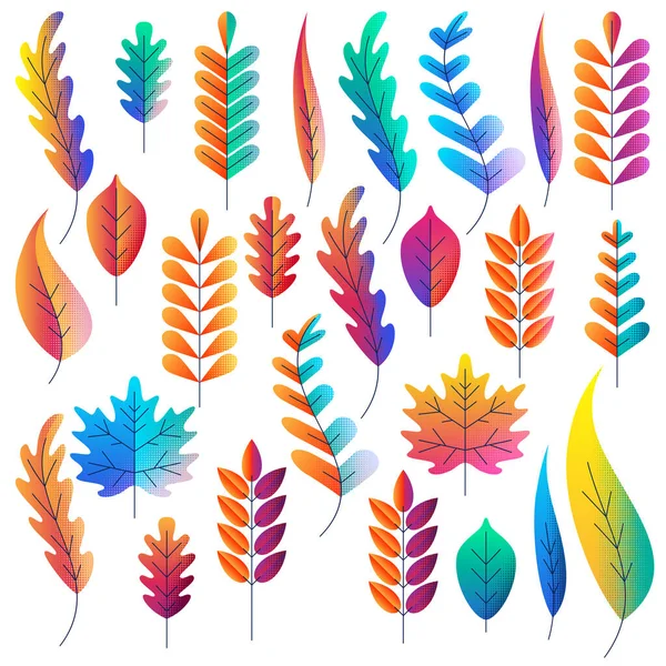 Vector Set Color Gradients Autumn Leaves Fantasy Plants Icons Design — Stock Vector