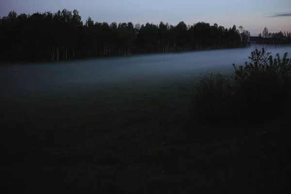 Fog Park City Early Morning Film Grain Toning — Stock Photo, Image