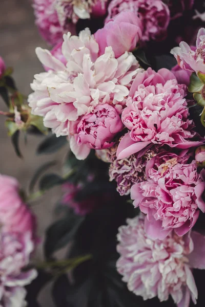 Fondo Peonías Para Diseño Flor Verano Foto —  Fotos de Stock