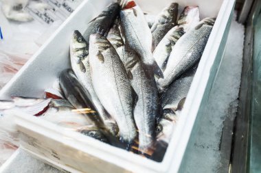 Dondurulmuş çiğ levrek balığı