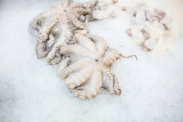 Крупним планом харчове зображення сирого замороженого восьминога на льоду на ринку — стокове фото