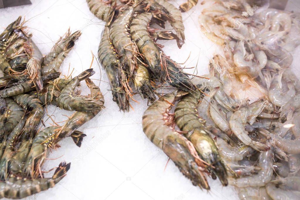 Close up food image of raw frozen prawns on ice on the market