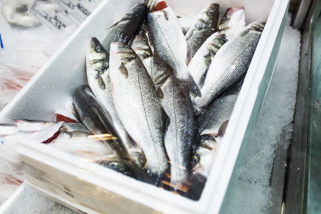 raw frozen sea bass fish