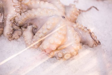 Gıda görüntü ham donmuş ahtapot piyasada buzda kapatın