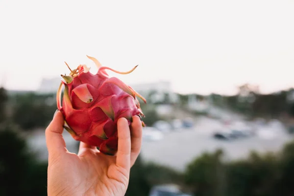 Cerrar Imagen Alimento Fruta Dragón Mano Mujer Foto Inspiración Viaje — Foto de Stock