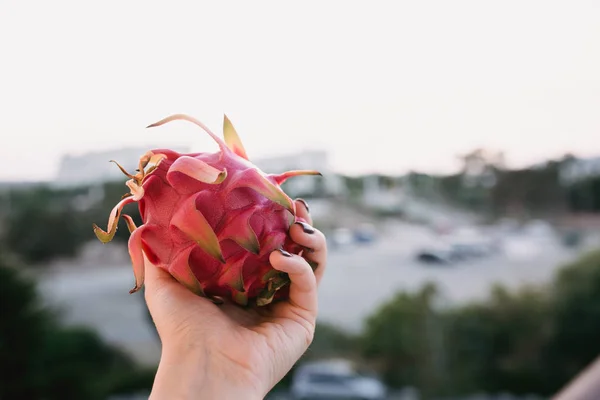 Cerrar Imagen Alimento Fruta Dragón Mano Mujer Foto Inspiración Viaje —  Fotos de Stock