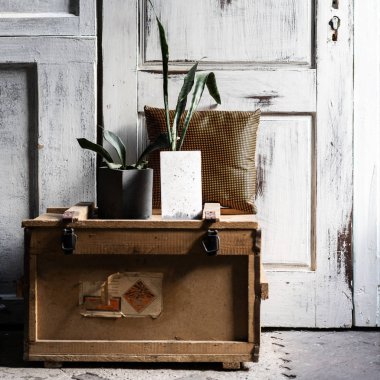 Modern tasarım çatı iç oturma odası. Boş boşaltmak gri ahşap duvarlar. Trend Yeşil eski tahta kutu üzerinde beton tencere.