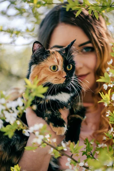 Girl Cat Spring Summer Warm Weather Concept Bokeh Background Ginger — Stock Photo, Image