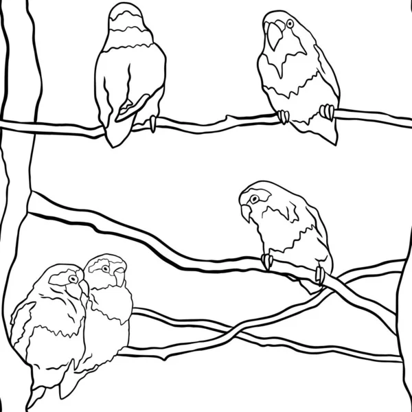 Papağanlar agapornis aşk kuşu kusursuz desen