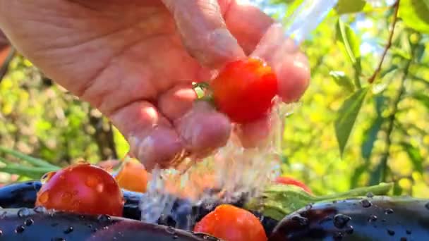 一个男人在水压下用红色成熟的西红柿洗蔬菜 — 图库视频影像